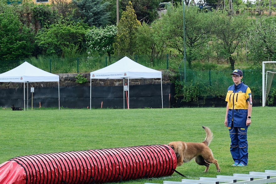 FCI SAR WC 2026_Foto-Andrej Gustincic_518.jpg