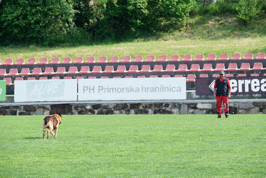 FCI SAR WC 2026_Foto-Andrej Gustincic_368.jpg
