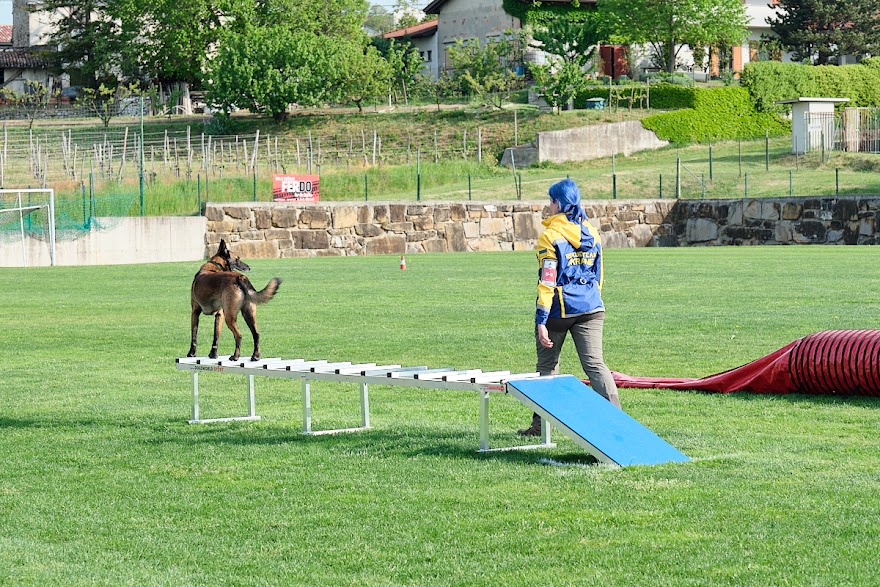 FCI SAR WC 2026_Foto-Andrej Gustincic_275.jpg
