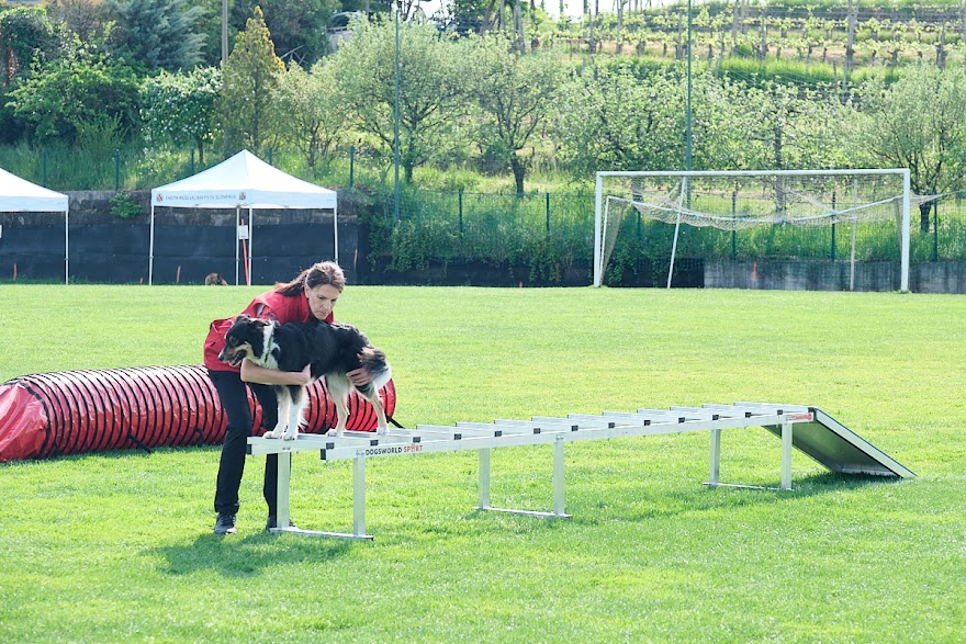 FCI SAR WC 2026_Foto-Andrej Gustincic_361.jpg