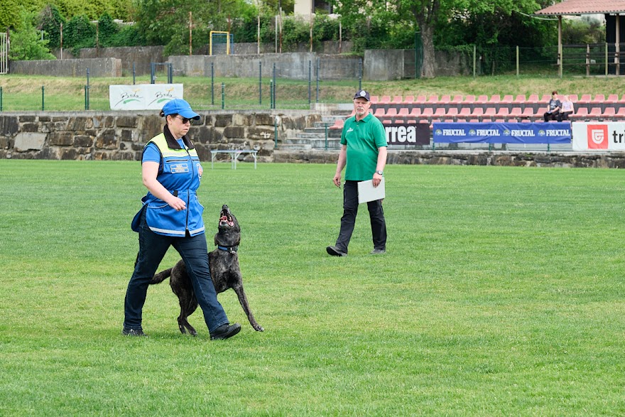 FCI SAR WC 2026_Foto-Andrej Gustincic_447.jpg