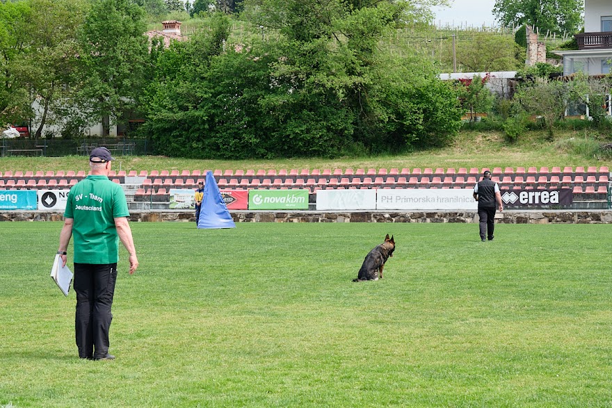 FCI SAR WC 2026_Foto-Andrej Gustincic_490.jpg