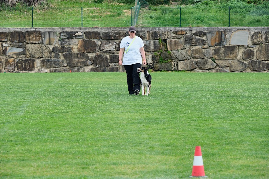 FCI SAR WC 2026_Foto-Andrej Gustincic_461.jpg