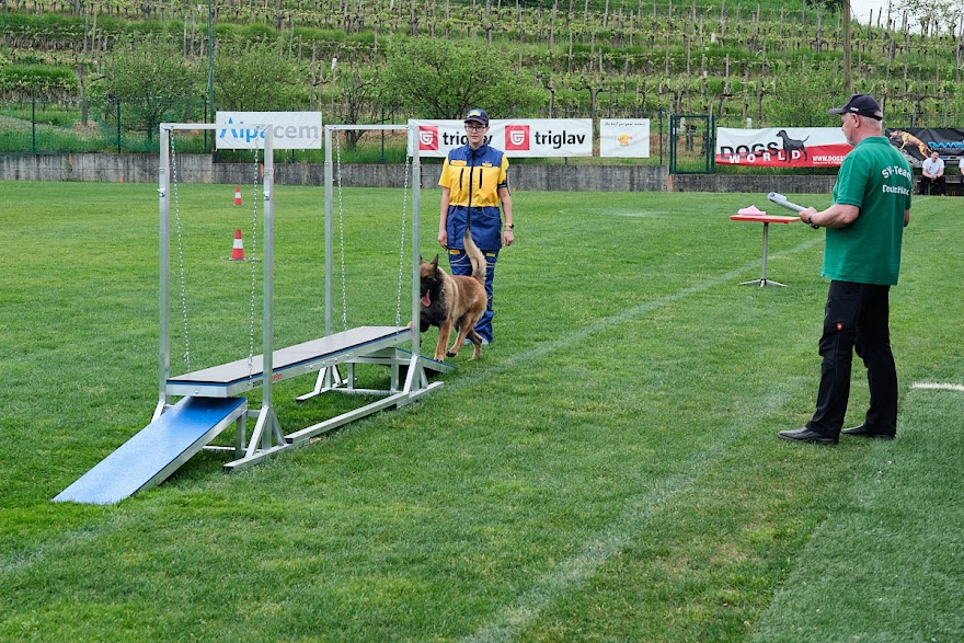 FCI SAR WC 2026_Foto-Andrej Gustincic_521.jpg