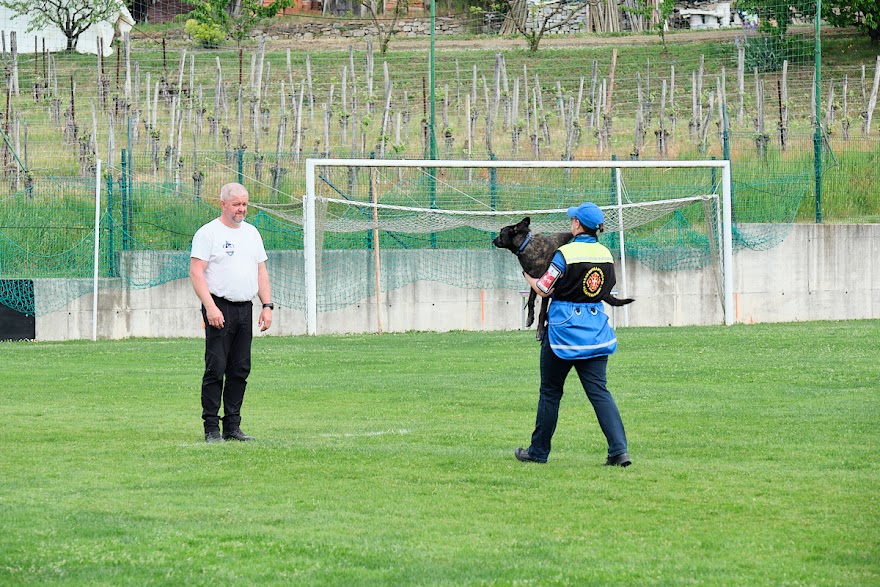 FCI SAR WC 2026_Foto-Andrej Gustincic_455.jpg