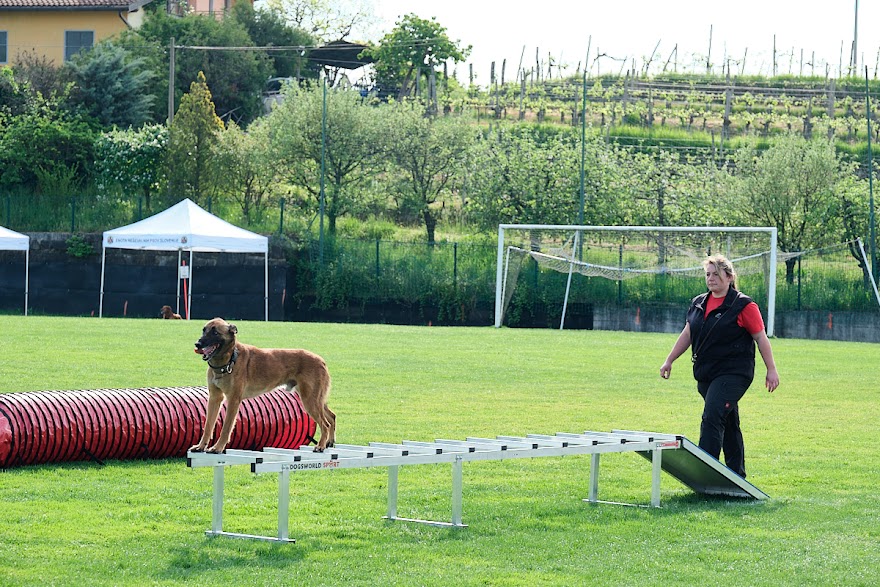 FCI SAR WC 2026_Foto-Andrej Gustincic_324.jpg