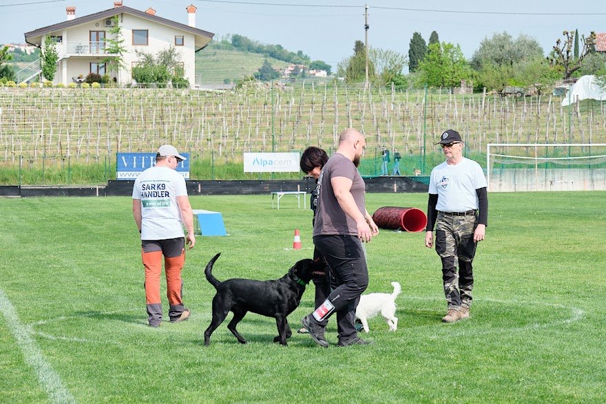 FCI SAR WC 2026_Foto-Andrej Gustincic_398.jpg