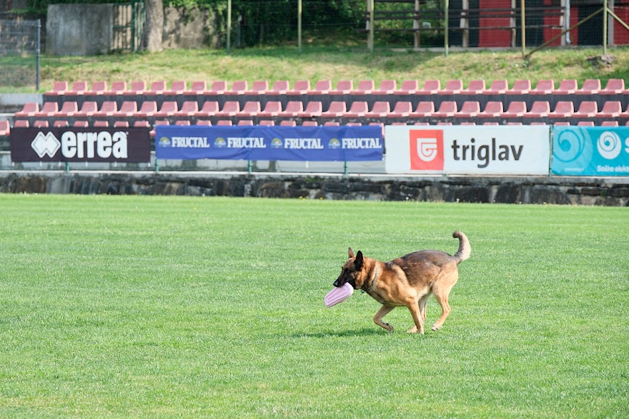 FCI SAR WC 2026_Foto-Andrej Gustincic_370.jpg