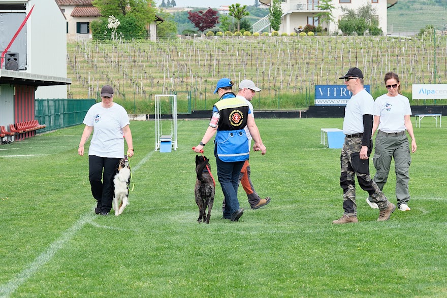 FCI SAR WC 2026_Foto-Andrej Gustincic_444.jpg