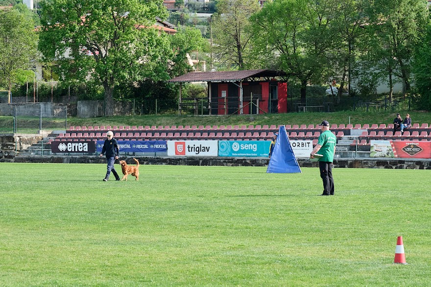 FCI SAR WC 2026_Foto-Andrej Gustincic_281.jpg