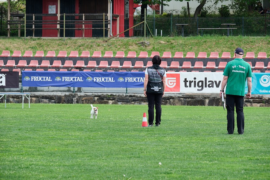 FCI SAR WC 2026_Foto-Andrej Gustincic_434.jpg
