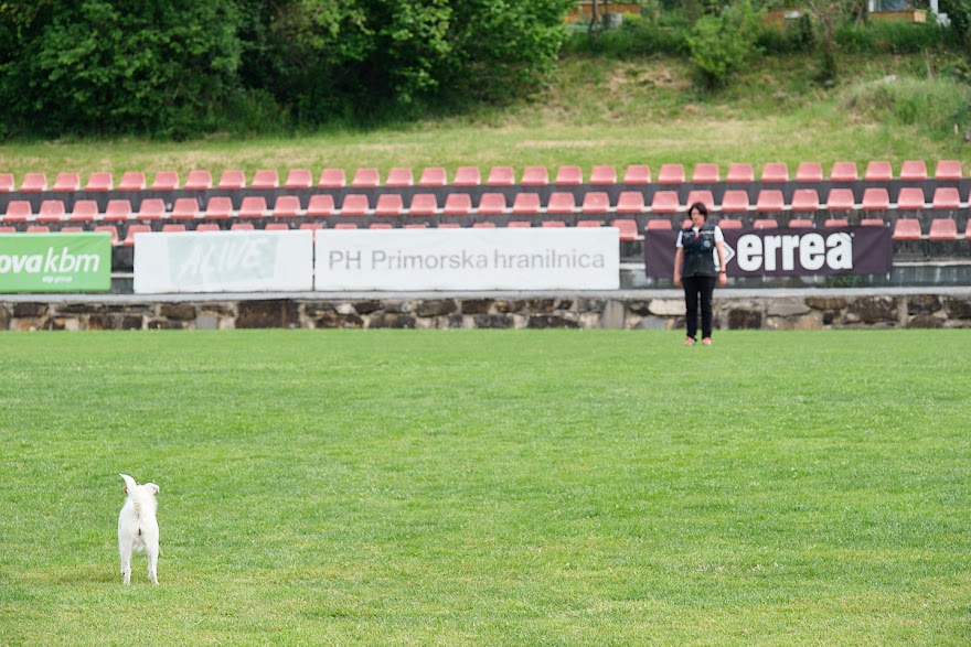 FCI SAR WC 2026_Foto-Andrej Gustincic_429.jpg