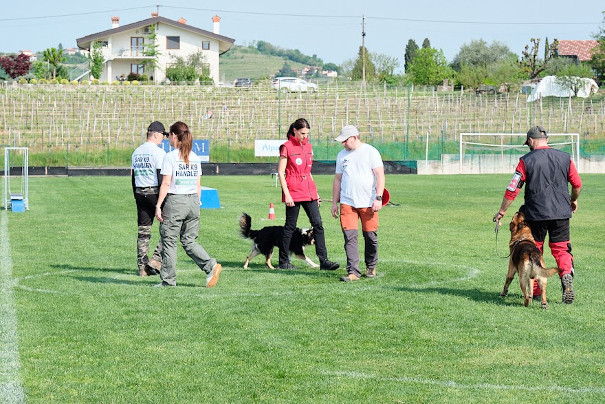 FCI SAR WC 2026_Foto-Andrej Gustincic_349.jpg