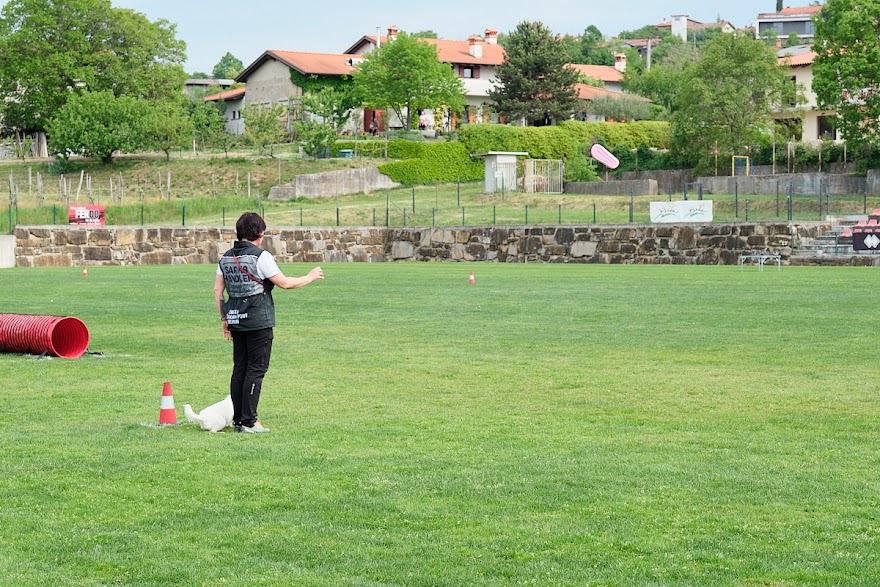 FCI SAR WC 2026_Foto-Andrej Gustincic_431.jpg