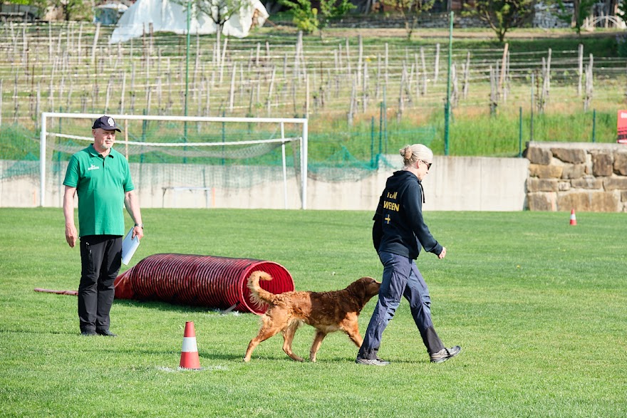 FCI SAR WC 2026_Foto-Andrej Gustincic_284.jpg