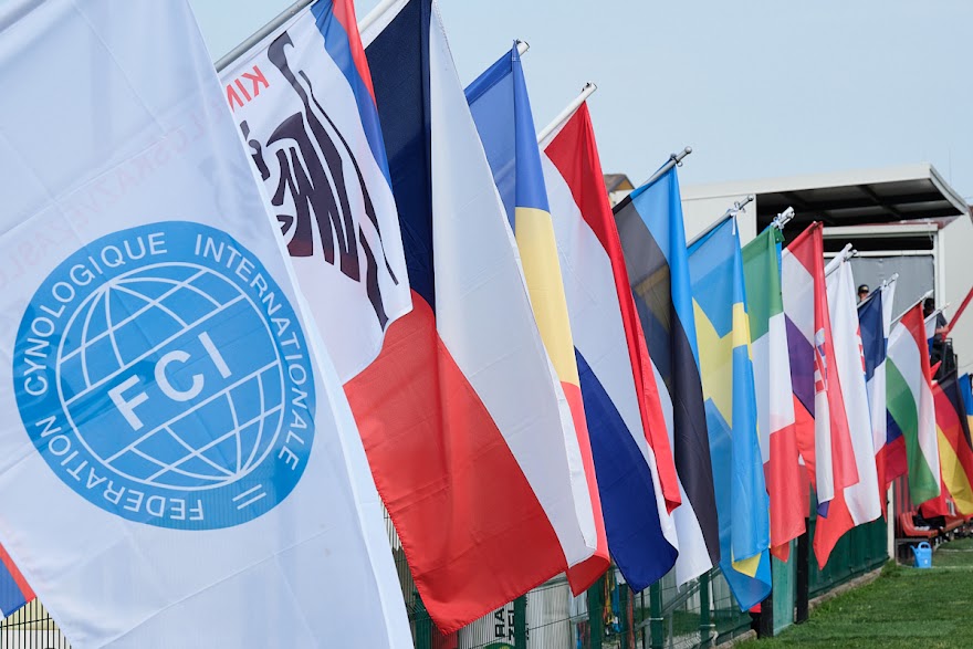 FCI SAR WC 2026_Foto-Andrej Gustincic_301.jpg