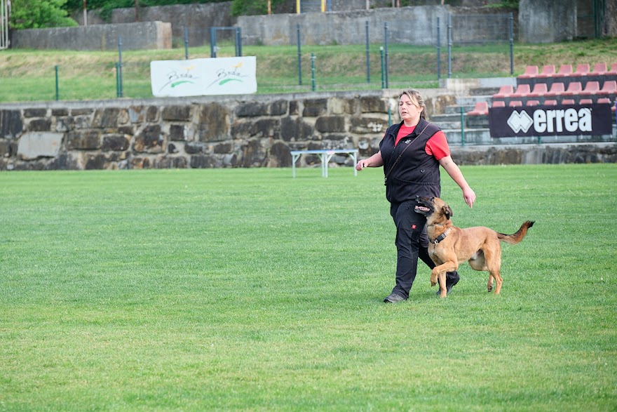 FCI SAR WC 2026_Foto-Andrej Gustincic_313.jpg