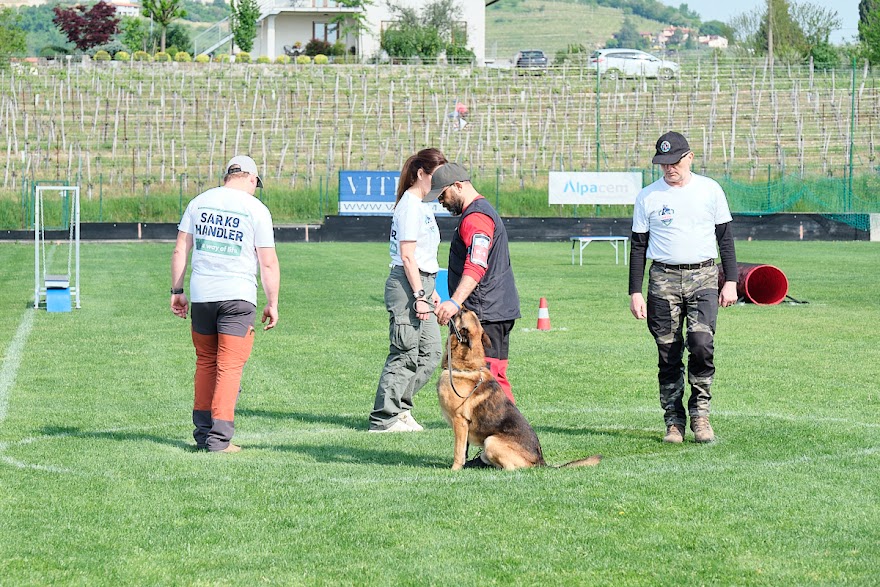 FCI SAR WC 2026_Foto-Andrej Gustincic_346.jpg