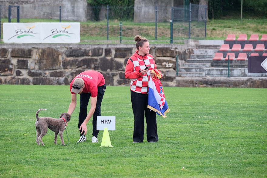 FCI SAR WC 2026_Foto-Andrej Gustincic_570.jpg