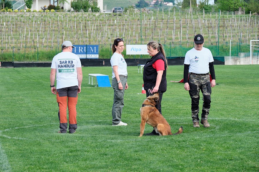 FCI SAR WC 2026_Foto-Andrej Gustincic_307.jpg