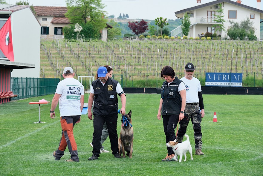 FCI SAR WC 2026_Foto-Andrej Gustincic_530.jpg