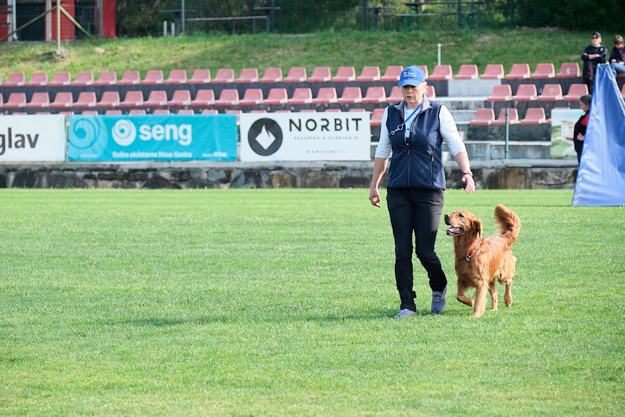 FCI SAR WC 2026_Foto-Andrej Gustincic_330.jpg