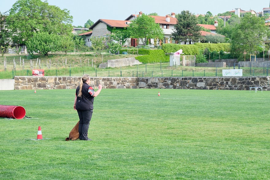 FCI SAR WC 2026_Foto-Andrej Gustincic_317.jpg