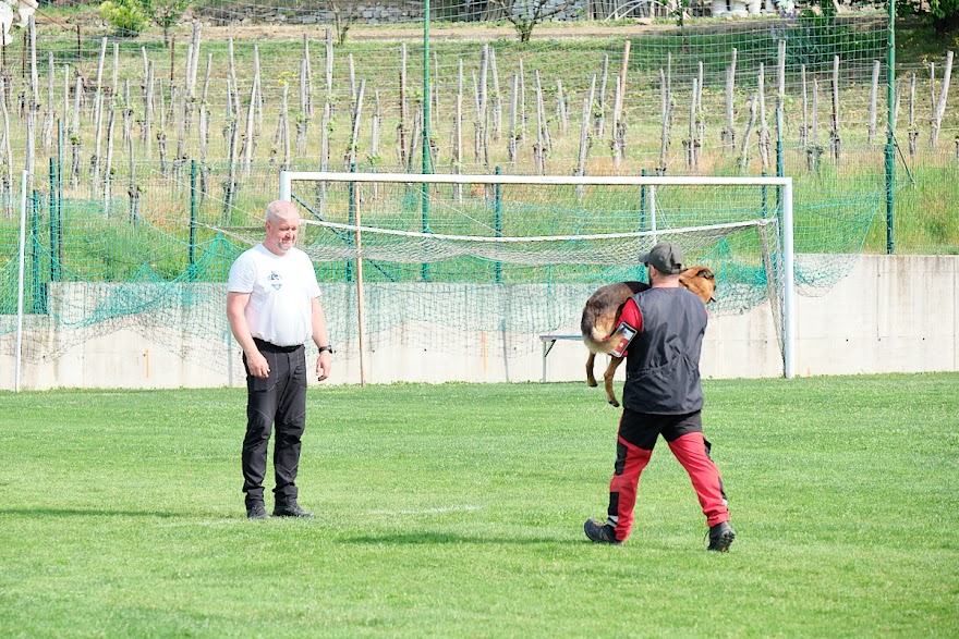 FCI SAR WC 2026_Foto-Andrej Gustincic_374.jpg