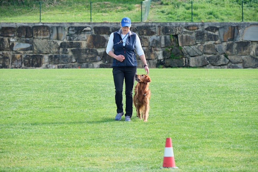 FCI SAR WC 2026_Foto-Andrej Gustincic_329.jpg