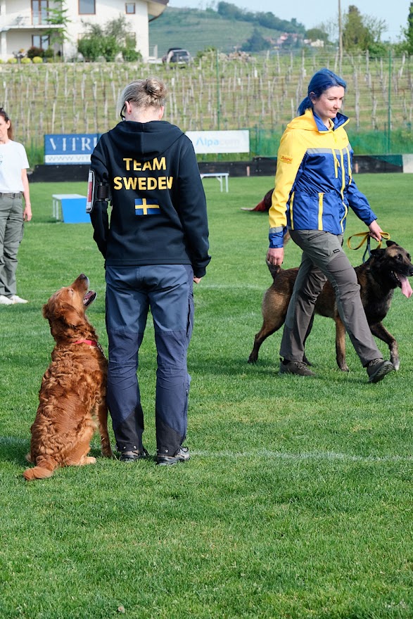 FCI SAR WC 2026_Foto-Andrej Gustincic_261.jpg