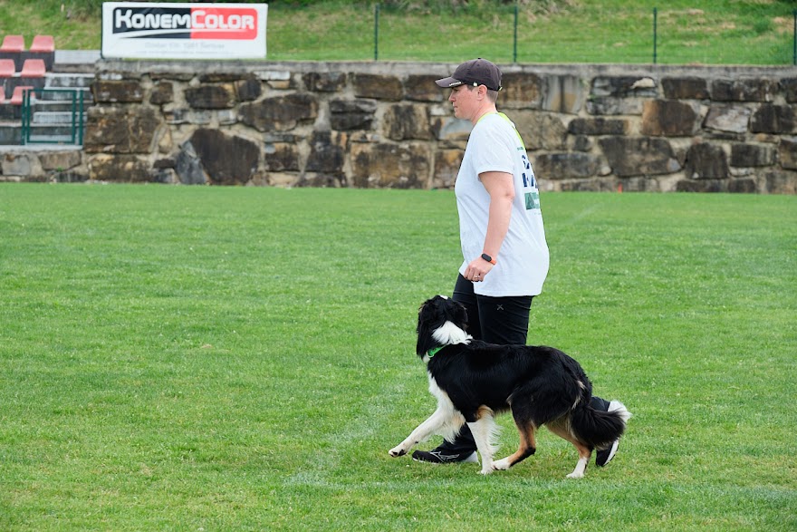 FCI SAR WC 2026_Foto-Andrej Gustincic_463.jpg
