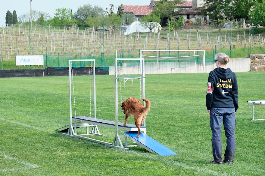 FCI SAR WC 2026_Foto-Andrej Gustincic_297.jpg