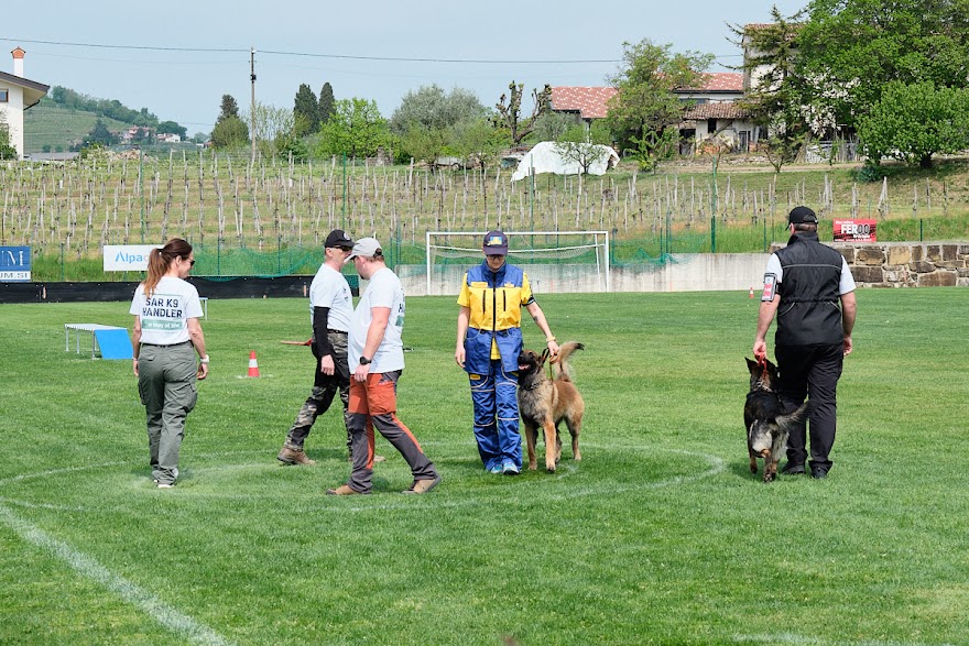 FCI SAR WC 2026_Foto-Andrej Gustincic_481.jpg