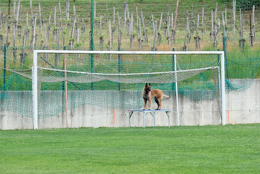 FCI SAR WC 2026_Foto-Andrej Gustincic_514.jpg