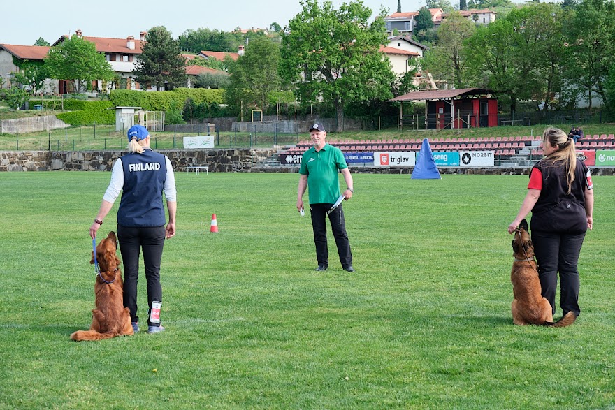 FCI SAR WC 2026_Foto-Andrej Gustincic_304.jpg