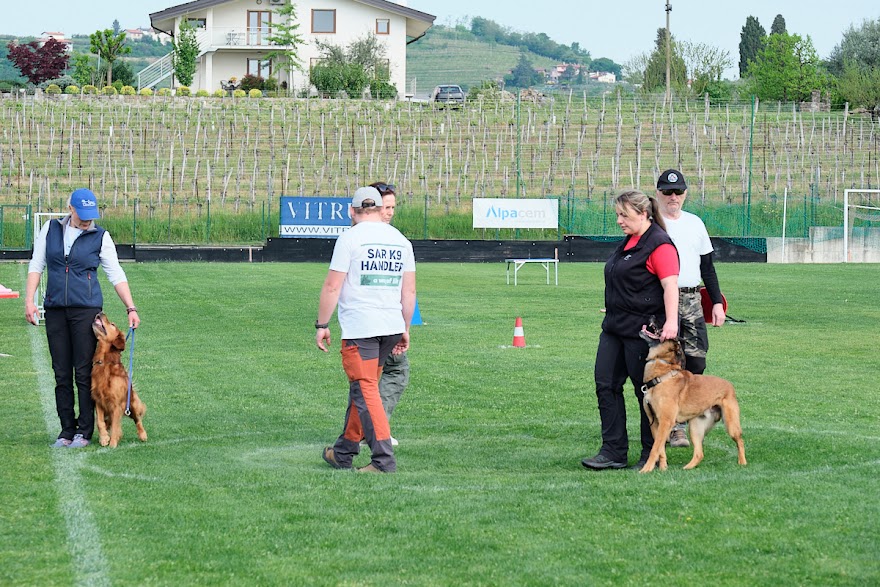 FCI SAR WC 2026_Foto-Andrej Gustincic_308.jpg