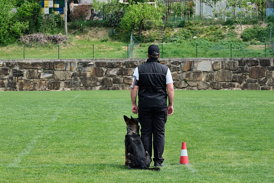 FCI SAR WC 2026_Foto-Andrej Gustincic_485.jpg