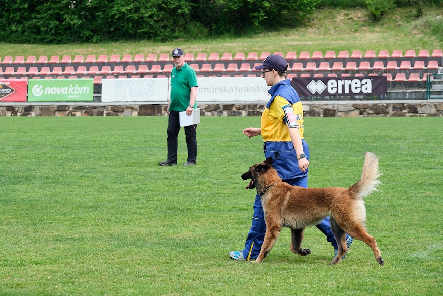 FCI SAR WC 2026_Foto-Andrej Gustincic_507.jpg