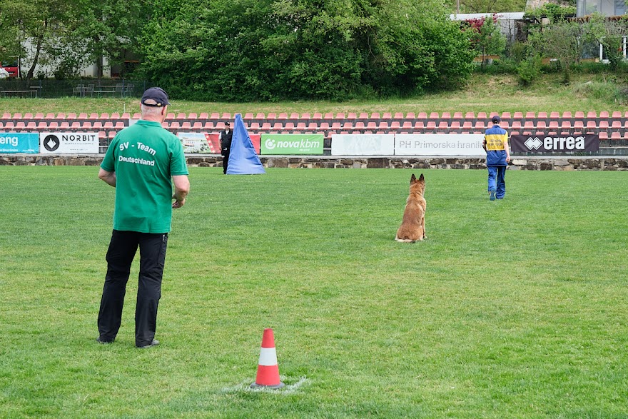 FCI SAR WC 2026_Foto-Andrej Gustincic_508.jpg