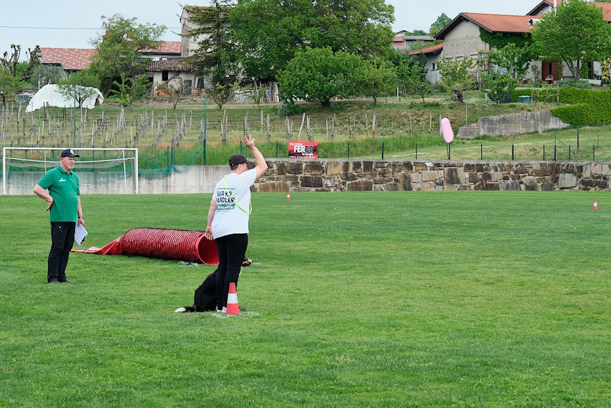 FCI SAR WC 2026_Foto-Andrej Gustincic_468.jpg