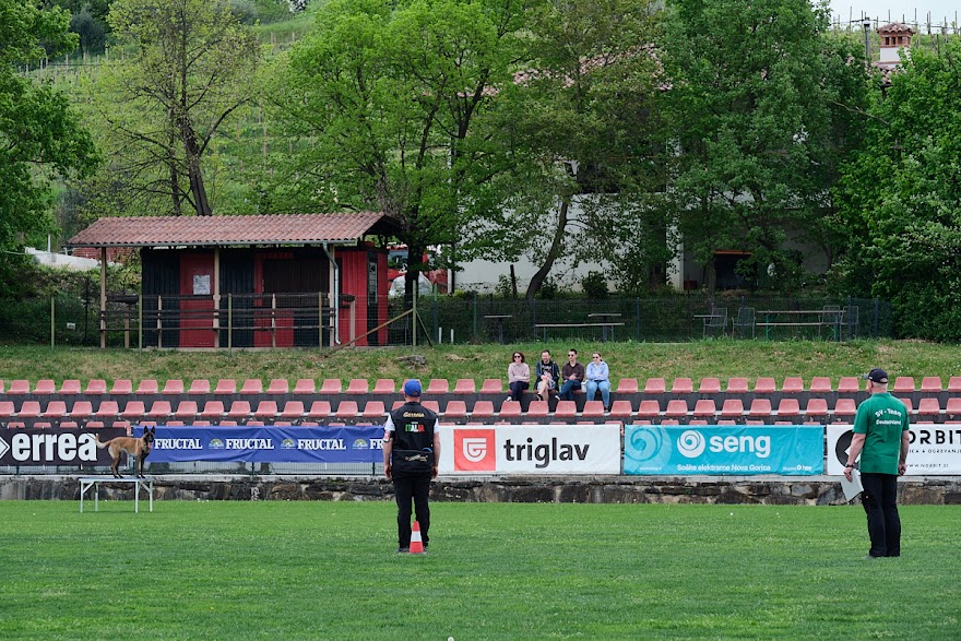 FCI SAR WC 2026_Foto-Andrej Gustincic_543.jpg