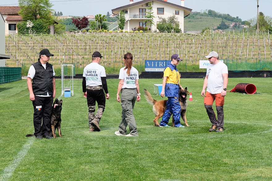 FCI SAR WC 2026_Foto-Andrej Gustincic_482.jpg