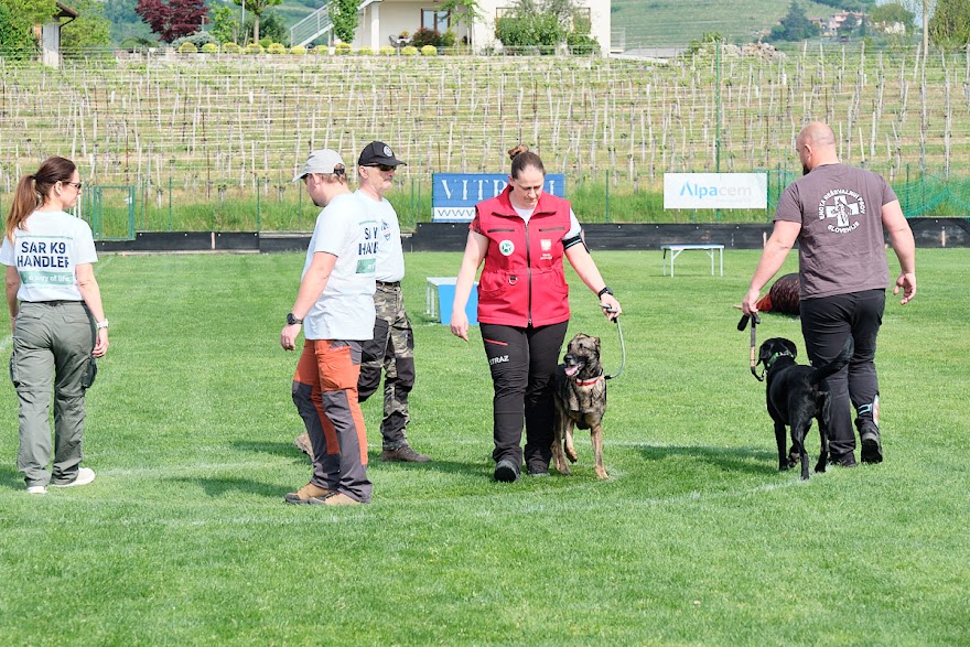FCI SAR WC 2026_Foto-Andrej Gustincic_394.jpg
