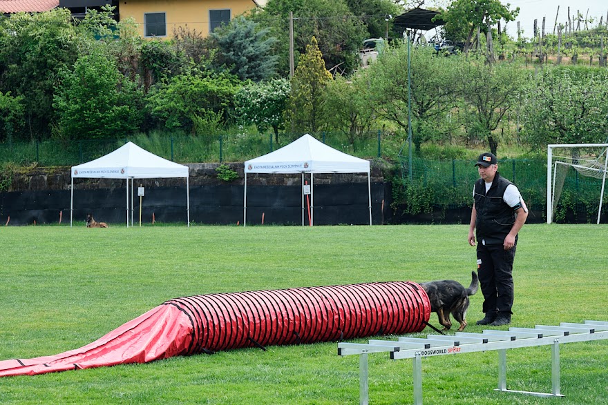 FCI SAR WC 2026_Foto-Andrej Gustincic_500.jpg