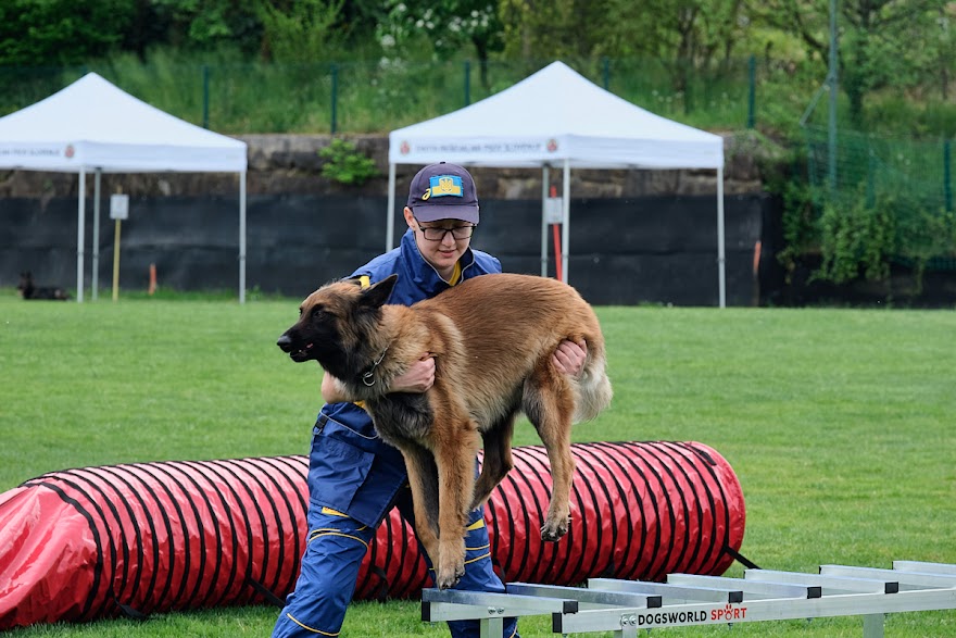 FCI SAR WC 2026_Foto-Andrej Gustincic_520.jpg