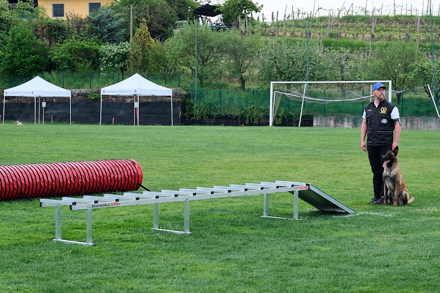 FCI SAR WC 2026_Foto-Andrej Gustincic_546.jpg