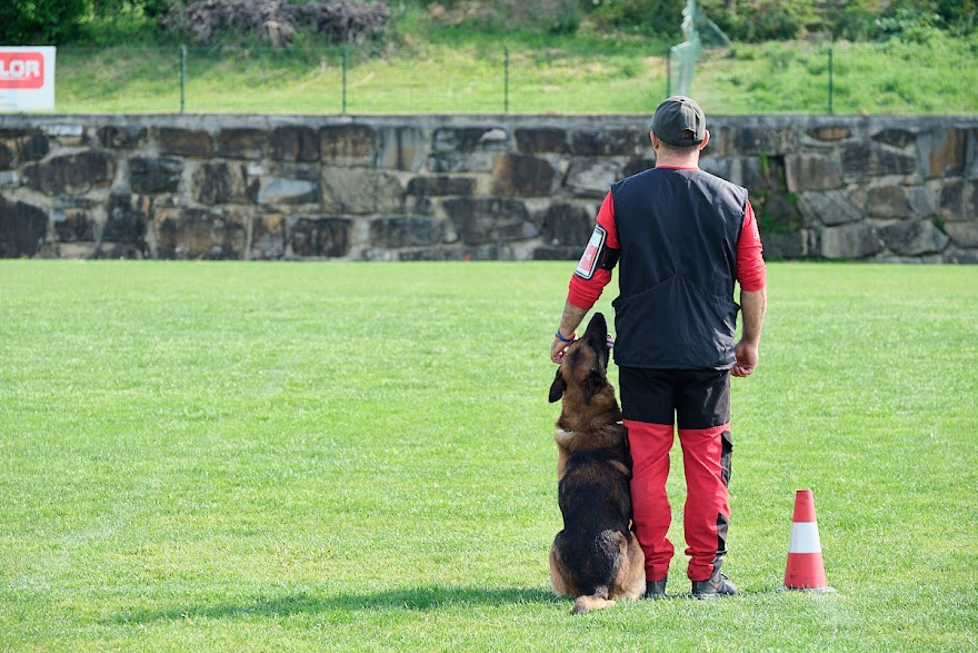 FCI SAR WC 2026_Foto-Andrej Gustincic_363.jpg
