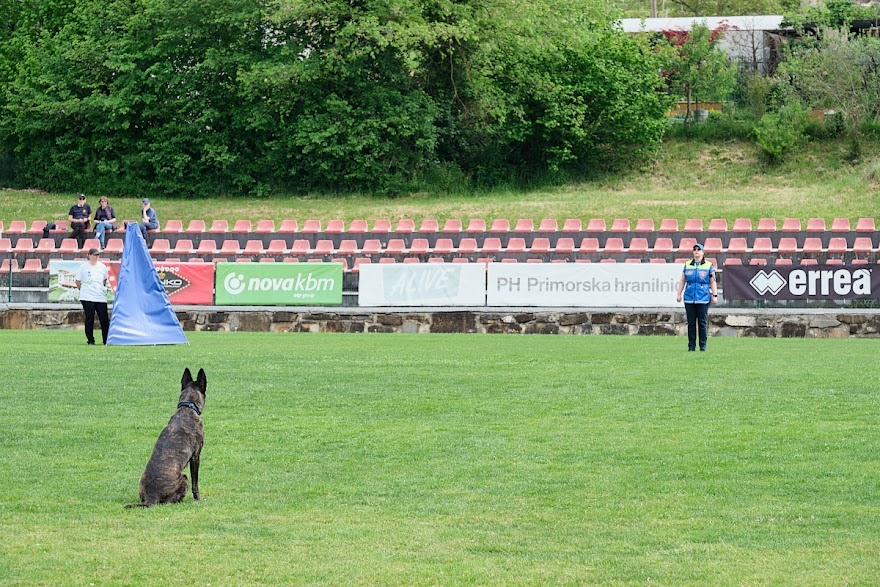 FCI SAR WC 2026_Foto-Andrej Gustincic_448.jpg