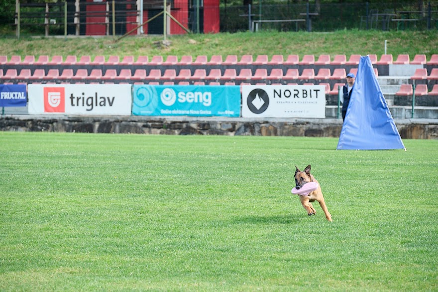 FCI SAR WC 2026_Foto-Andrej Gustincic_318.jpg