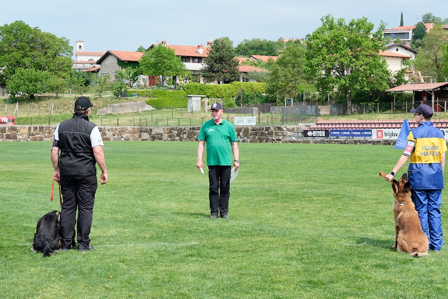 FCI SAR WC 2026_Foto-Andrej Gustincic_480.jpg